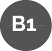 B1