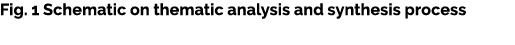 Fig. 1 Schematic on thematic analysis and synthesis process