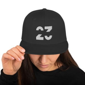 Jordan pro 23 engineered on sale hat