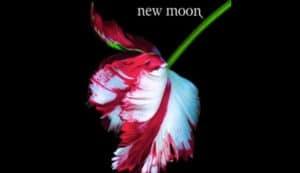 newmoon1